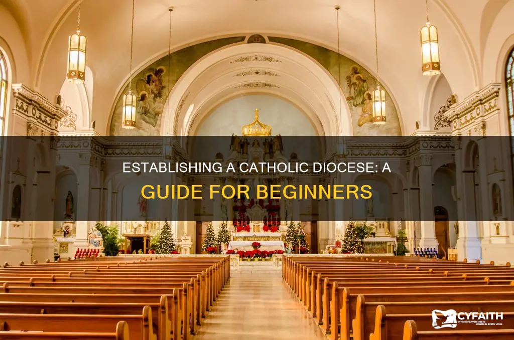 how to start a catholic dioceses