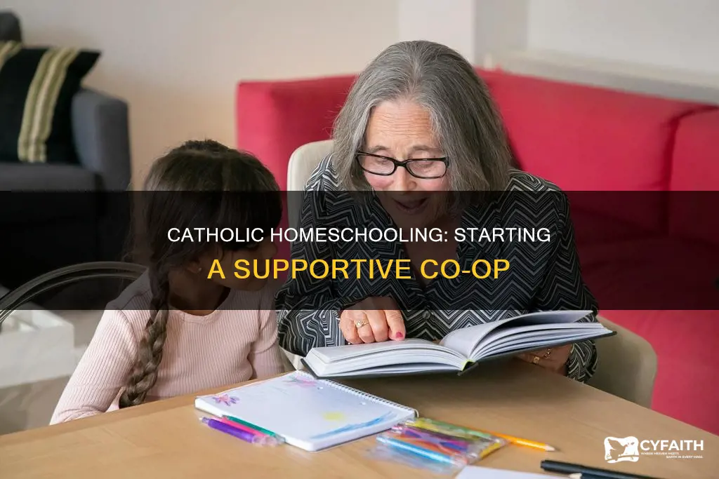 how to start a catholic homeschool co op