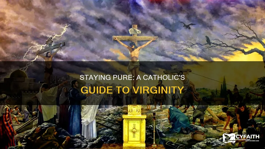 how to stay a virgin when youre catholic