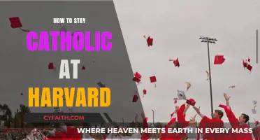 Staying Catholic at Harvard: A Student's Guide