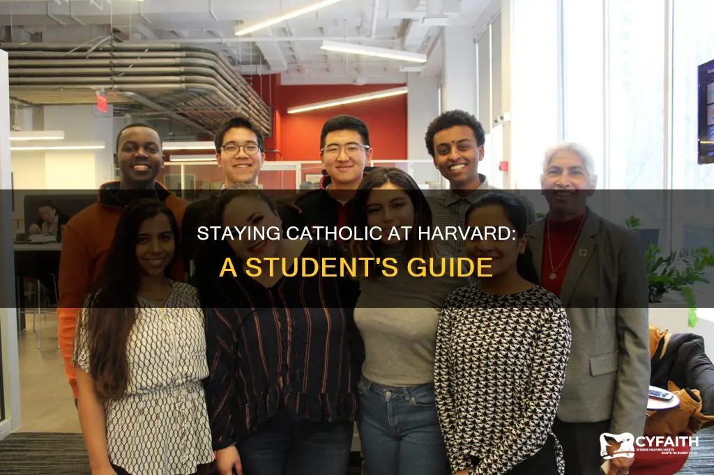 how to stay catholic at harvard