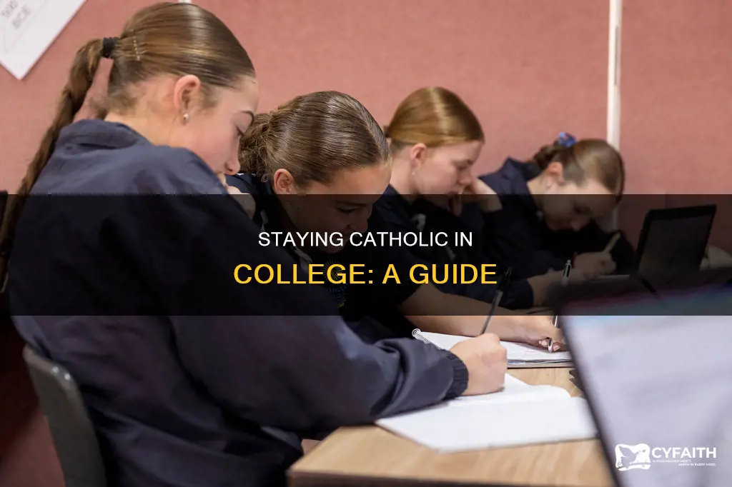 how to stay catholic in college book