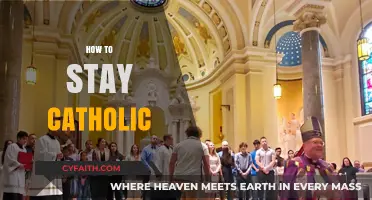 Staying Rooted in Faith: A Guide to Living Catholic Daily