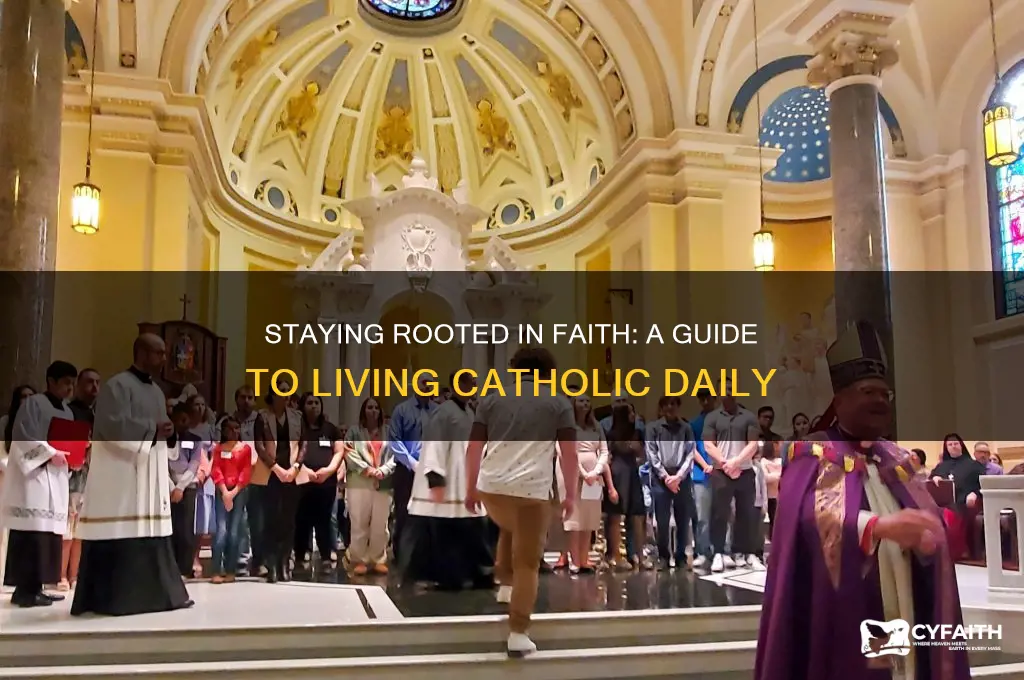 how to stay catholic