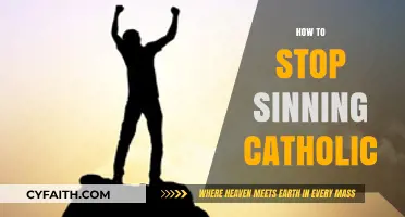 Overcoming Sin: A Catholic Guide to Spiritual Renewal and Grace