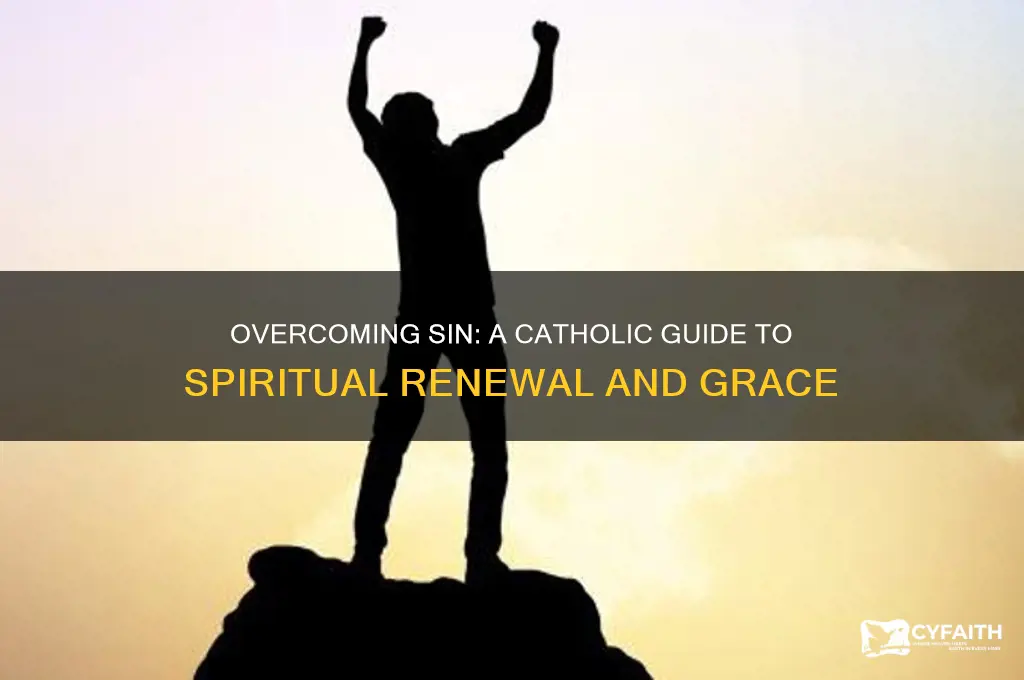 how to stop sinning catholic