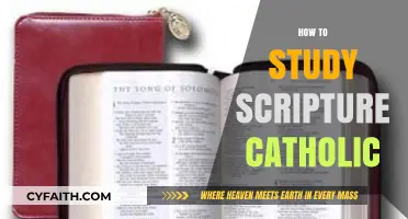 Mastering Catholic Scripture Study: A Comprehensive Guide for Faithful Learners