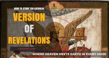 Understanding Catholic Revelations: A Guide