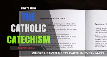 The Catechism: A Guide to Studying Catholic Teachings