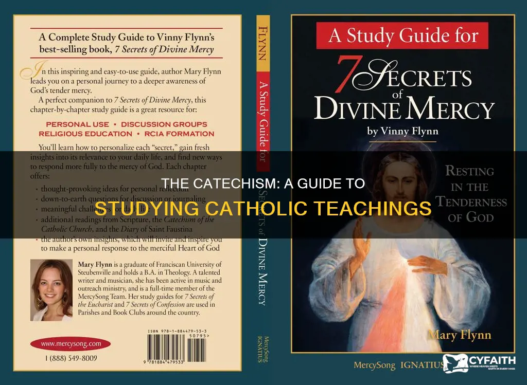 how to study the catholic catechism