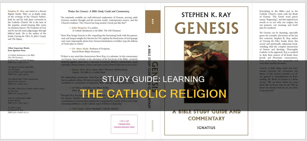 how to study the catholic religion
