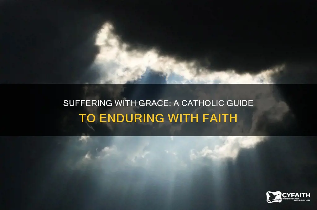 how to suffer well catholic