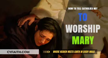 Mary, Mother of God: Catholics, Worship God, Not Mary