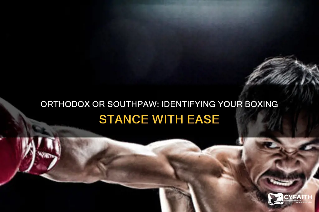 how to tell if your orthodox or southpaw