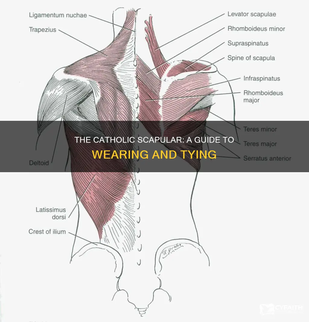 how to tie a catholic scapular