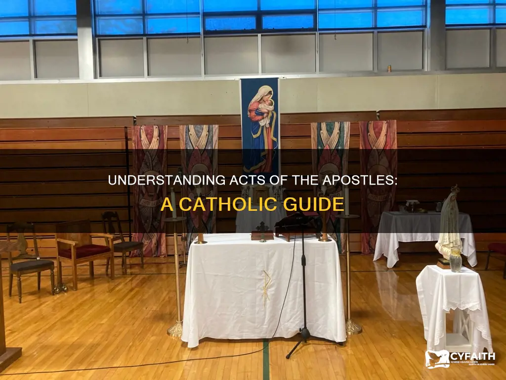 how to understand acts of the apostles catholic