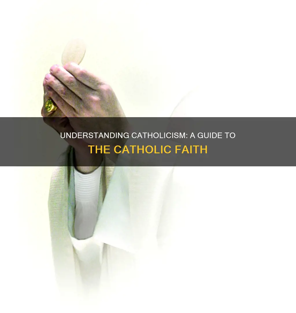 how to understand the catholic faith