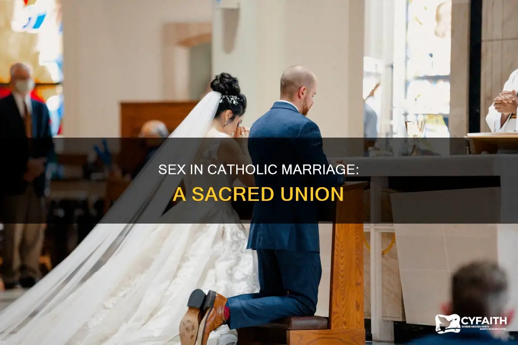 how to view sex in a catholic marriage