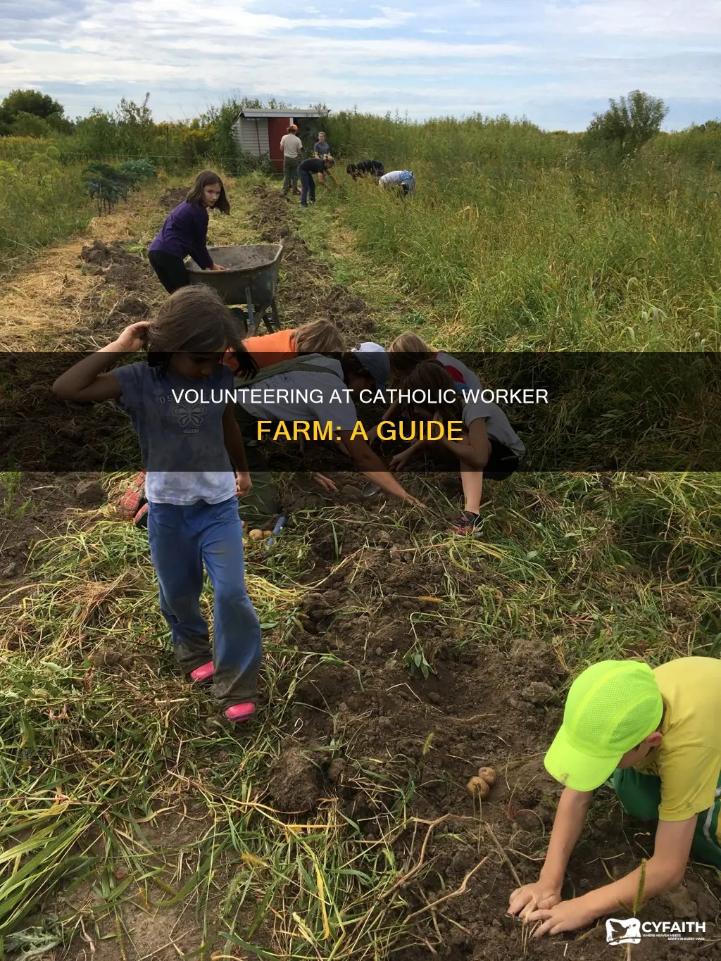 how to volunteer at catholic worker farm
