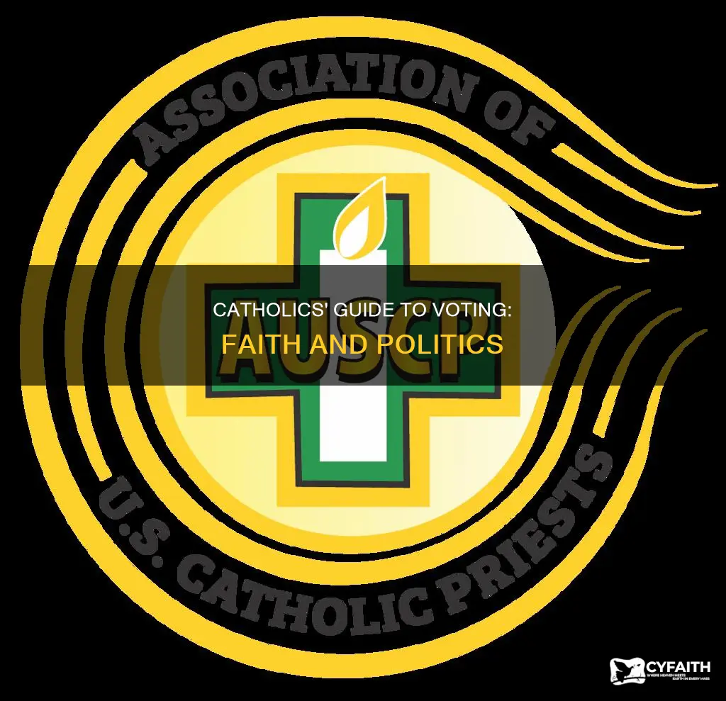 how to vote as a catholic
