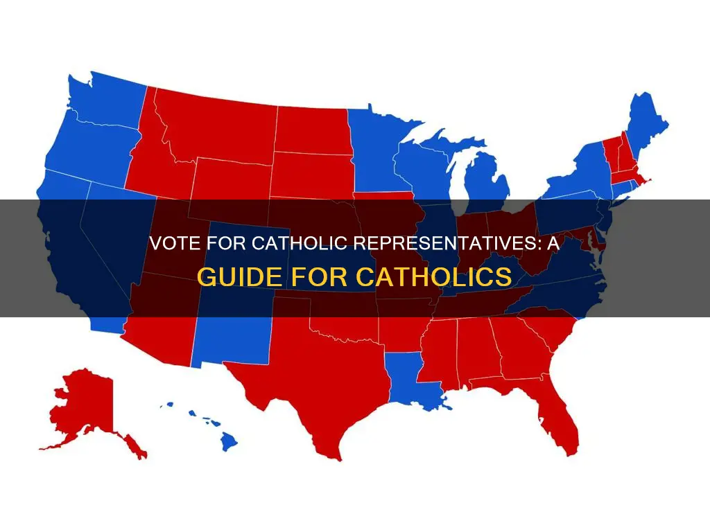how to vote for a catholic representatives