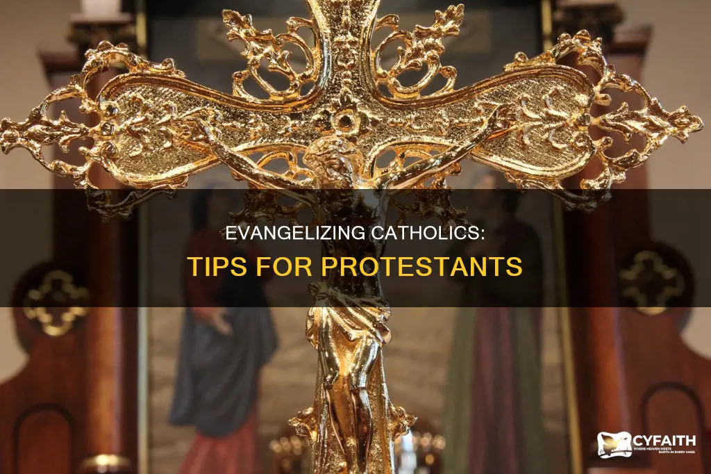 how to witness to a catholic