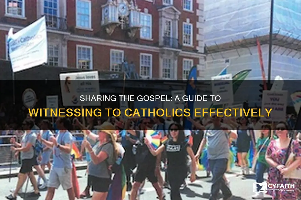 how to witness to catholic