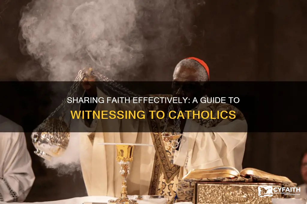 how to witness to catholics