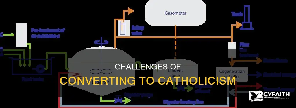 how tough is it to become catholic