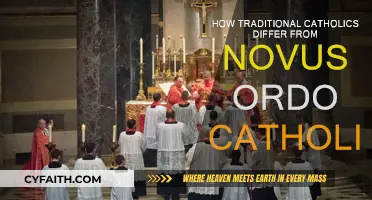 Trad Catholics vs. Novus Ordo: What's the Difference?
