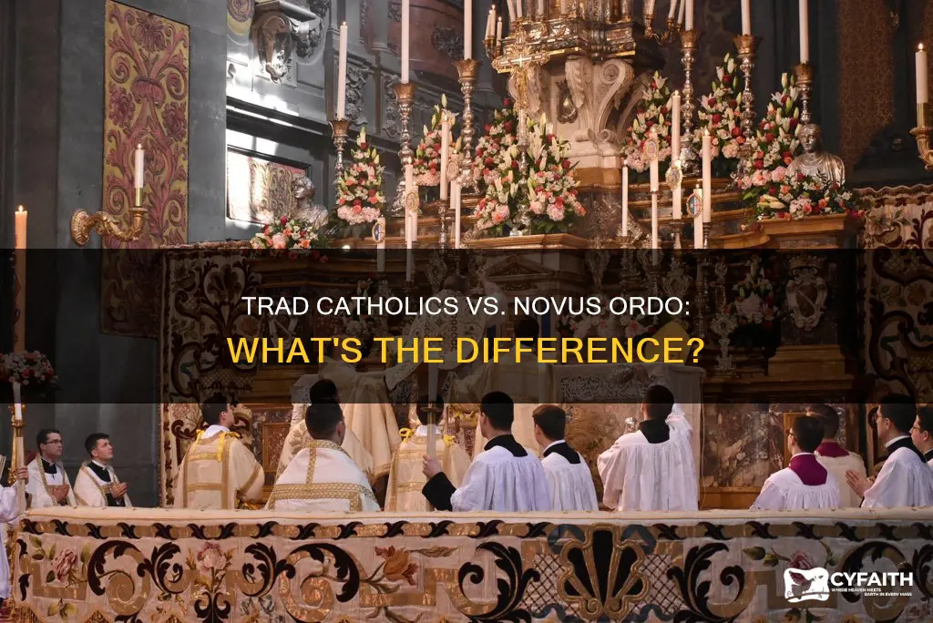 how traditional catholics differ from novus ordo catholics