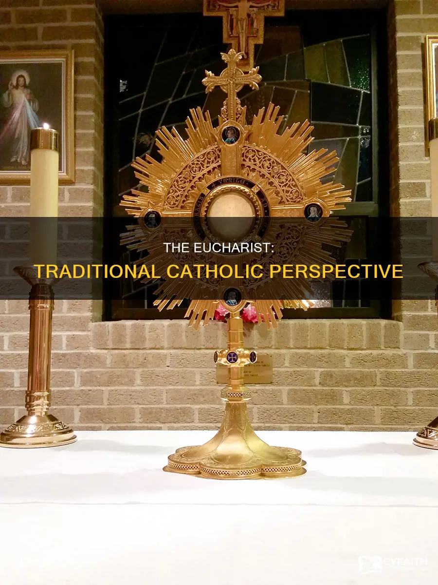 how traditional catholics look at euchrist