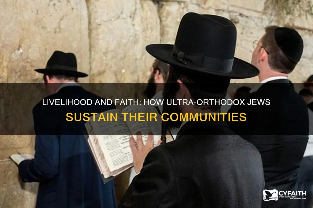 how ultra orthodox jews make a living