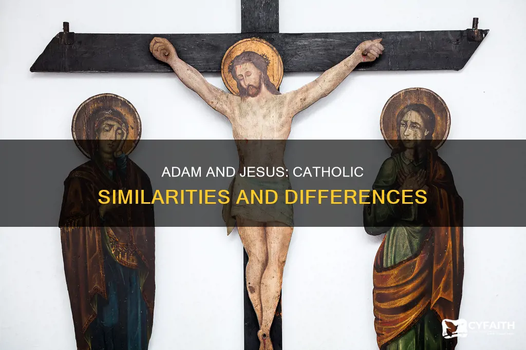 how was adam like jesus catholic