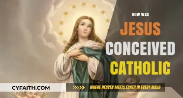 Catholic Understanding of Jesus' Immaculate Conception: A Divine Miracle Explained