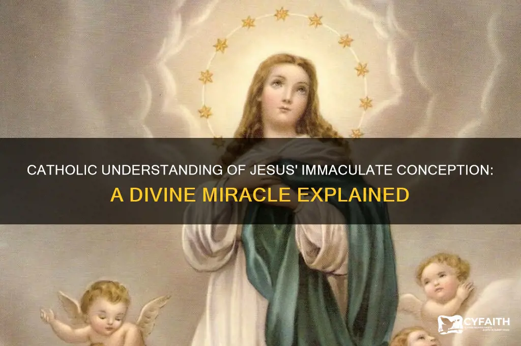 how was jesus conceived catholic