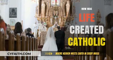 Catholic Perspective: The Divine Creation of Life Explained