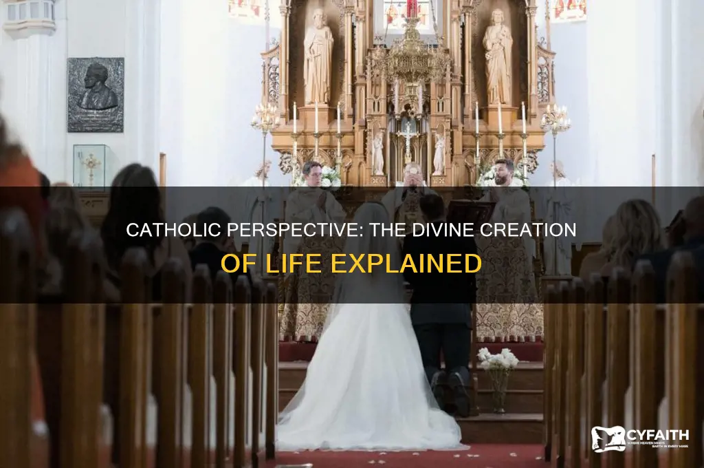 how was life created catholic