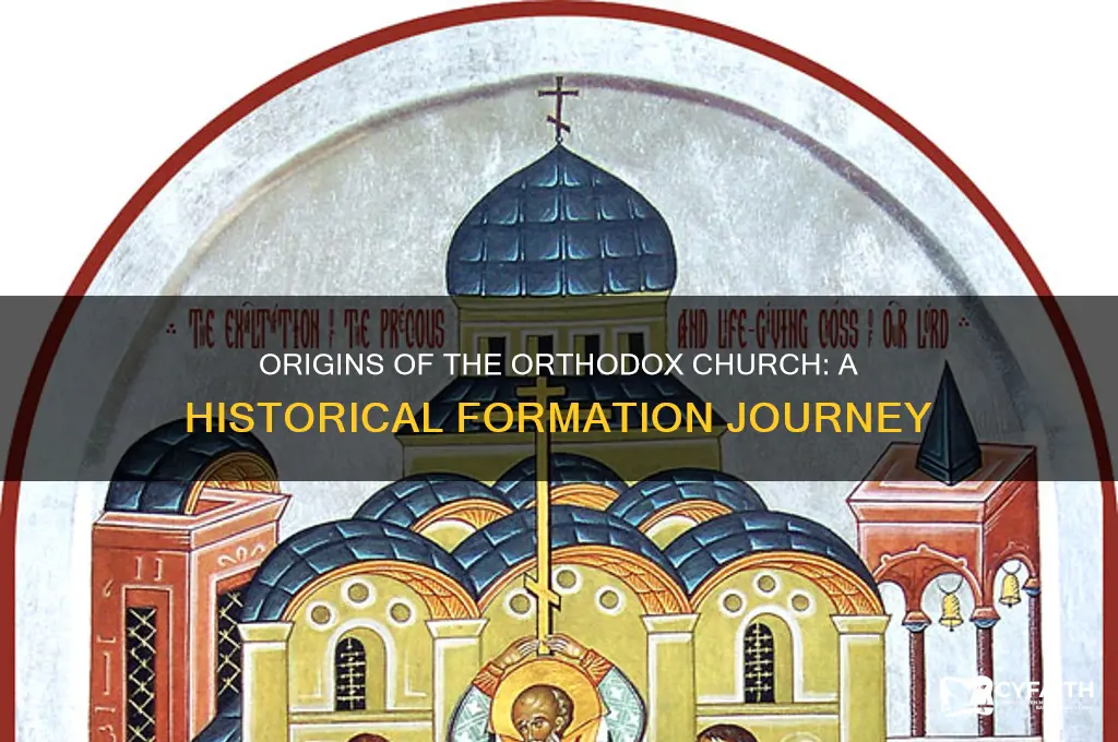 how was the orthodox church formed