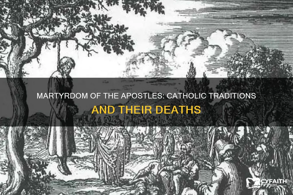 how were apostles killed catholic