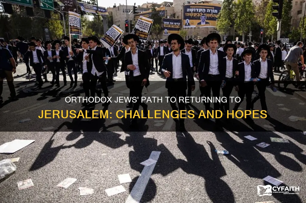 how will the orthodox jews get back to jeressulm