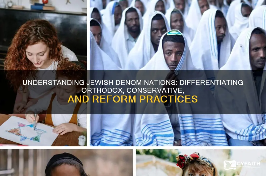 how would one distinguish among orthodox conservative and reform jews