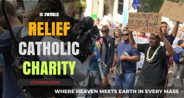 Exploring 3World Relief: A Catholic Charity or Independent Organization?