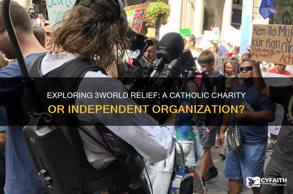 is 3world relief catholic charity