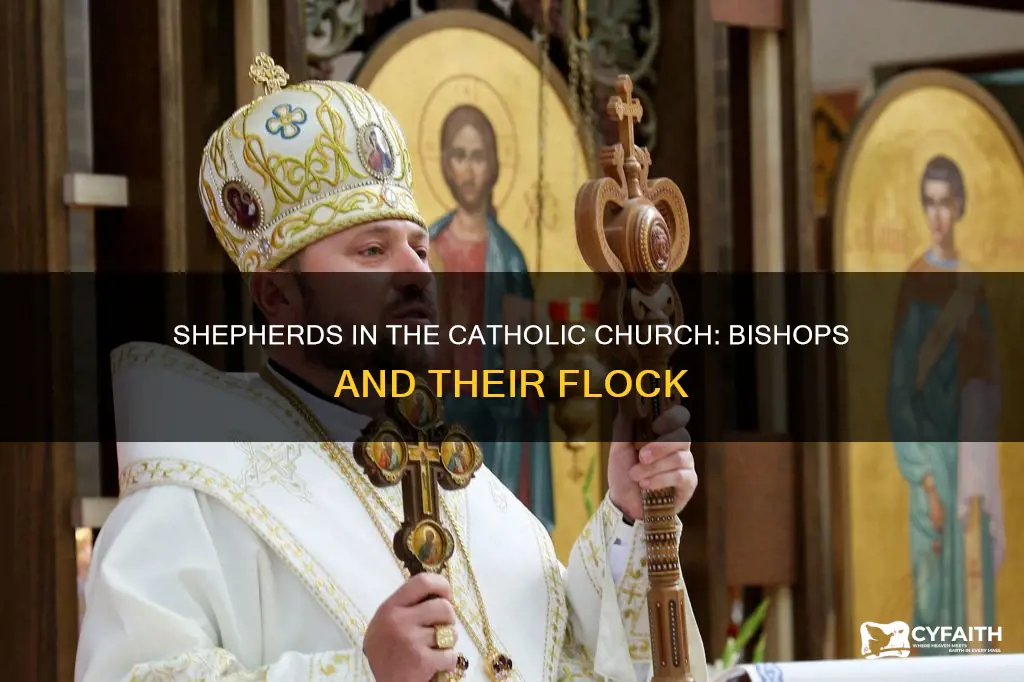 is a catholic bishop a shepherd