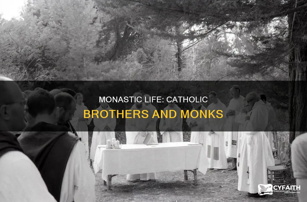 is a catholic brother a monk