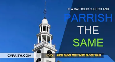 Catholic Church and Parish: What's the Difference?