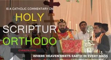 Catholic Commentary: Orthodox or Not?