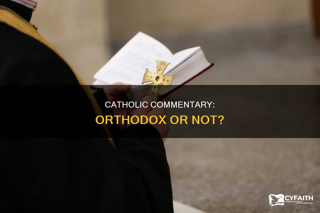 is a catholic commentary on holy scripture orthodox