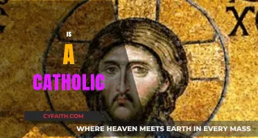 Understanding the Faith: What It Means to Be a Catholic Today